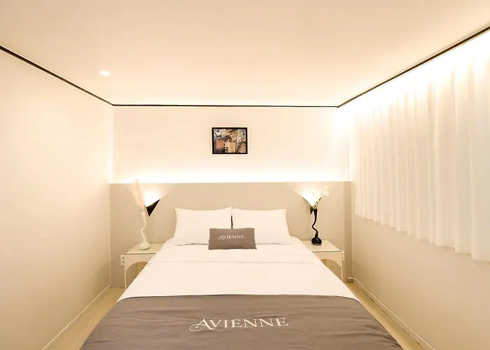 Avienne 홍대 명동 이태원 Ddp Kspo 경북궁 롯데월드 성수 Villa
